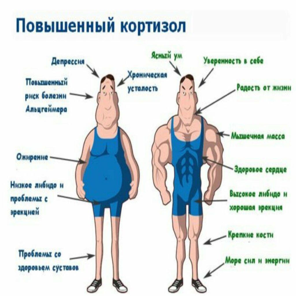 Чтобы кортизол не преобладал в вашей крови, не создавайте стрессовые условия для вашего организма. 