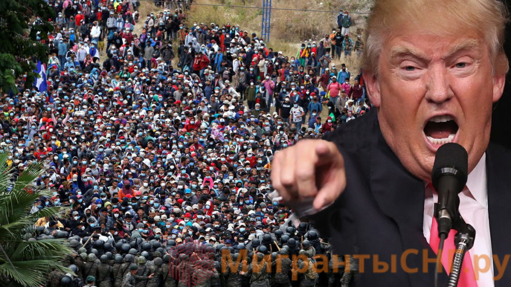 Трамп рвёт и мечет мигрантов и законы США