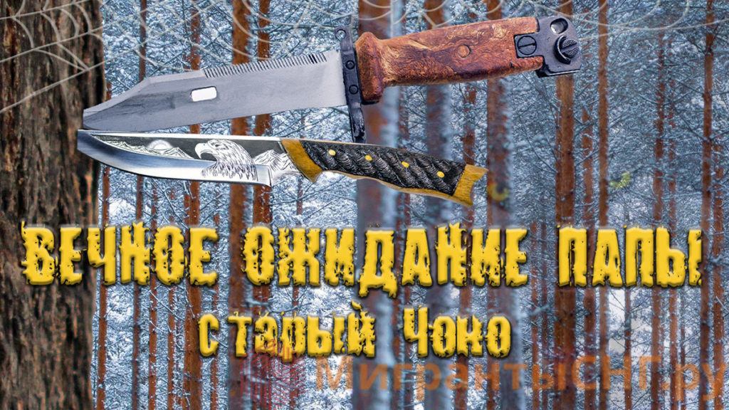 Скоро на всех литературных платформах читайте роман "Вечное ожидание папы, старый Чоно"